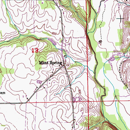 Topographic Map of Mint Spring, AL
