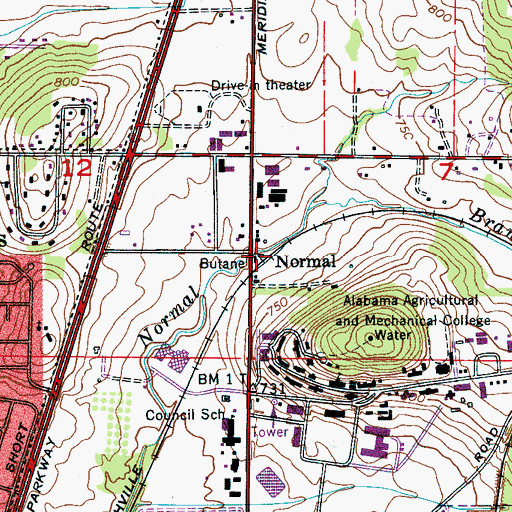 Topographic Map of Normal, AL