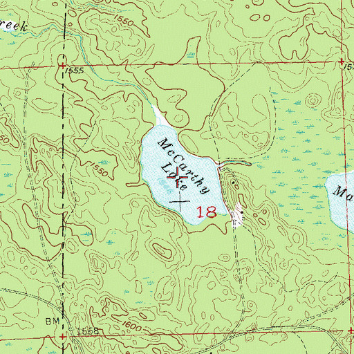 Topographic Map of McCarthy Lake, WI
