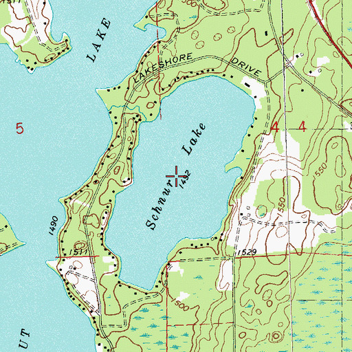 Topographic Map of Schnur Lake, WI