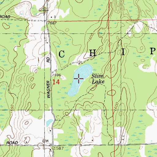 Topographic Map of Slim Lake, WI