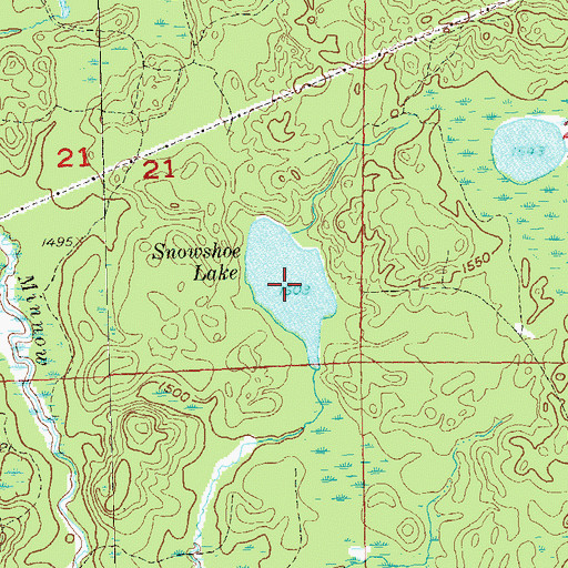 Topographic Map of Snowshoe Lake, WI