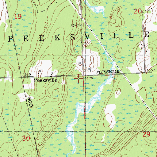 Topographic Map of Peeksville, WI