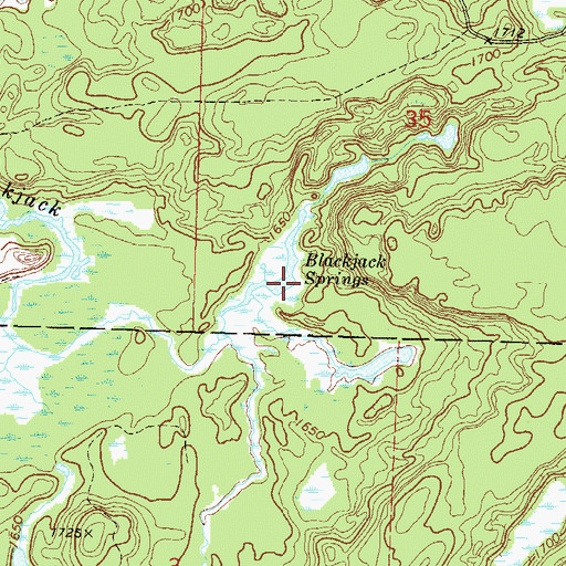 Topographic Map of Blackjack Springs, WI