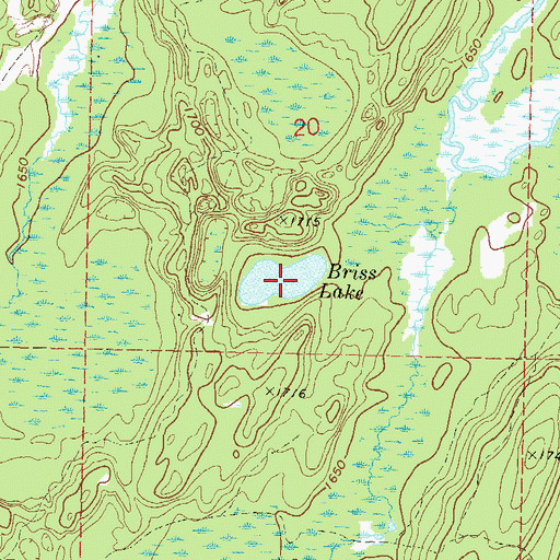 Topographic Map of Briss Lake, WI