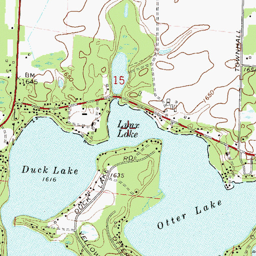 Topographic Map of Lynx Lake, WI