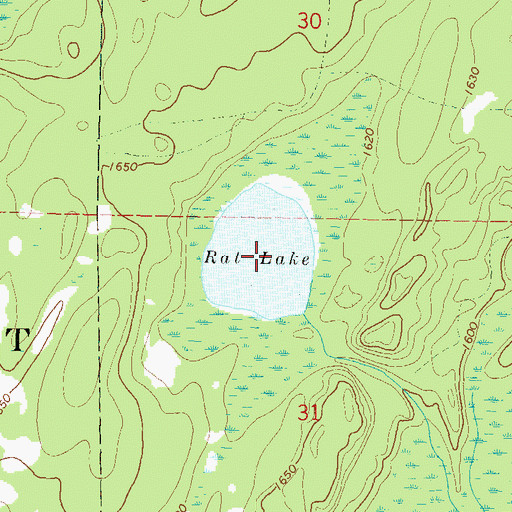 Topographic Map of Rat Lake, WI