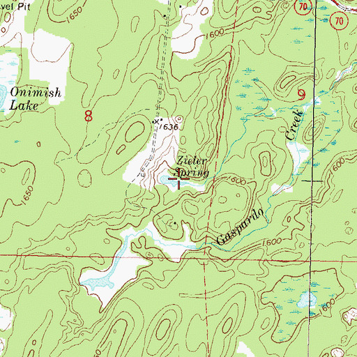 Topographic Map of Zieler Spring, WI