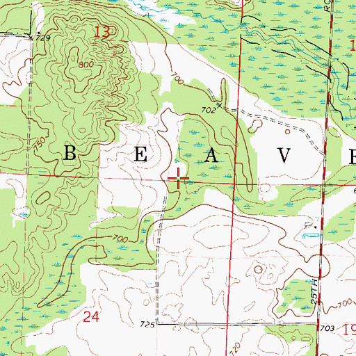 Topographic Map of Town of Beaver, WI