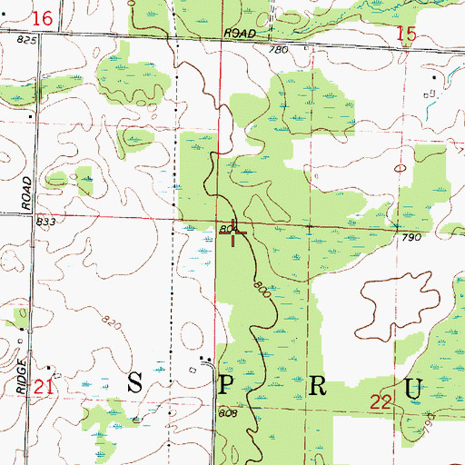 Topographic Map of Town of Spruce, WI