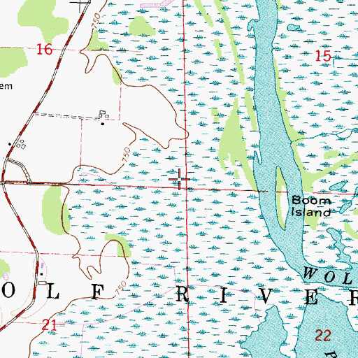 Topographic Map of Town of Wolf River, WI