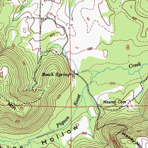 Topographic Map of Beech Spring, AL
