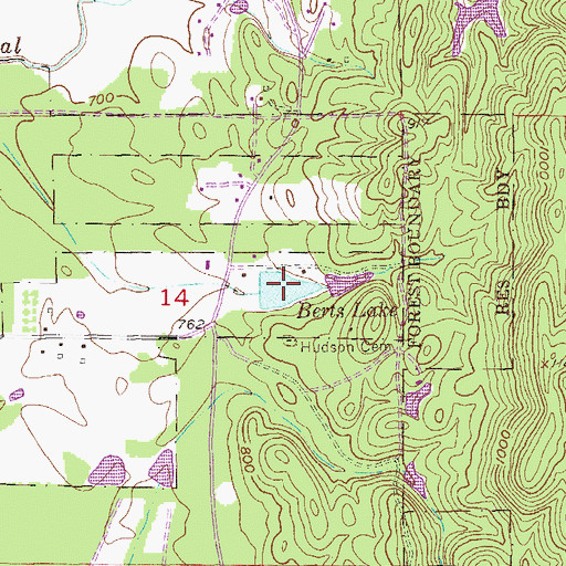Topographic Map of Berts Lake, AL