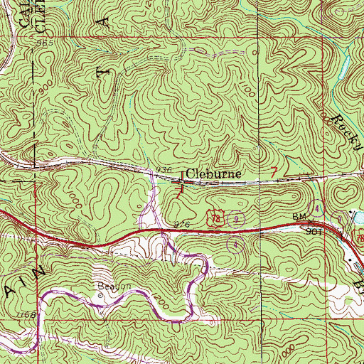 Topographic Map of Cleburne, AL