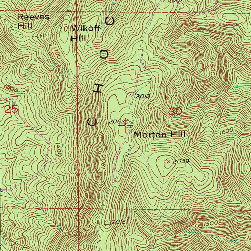 Topographic Map of Morton Hill, AL