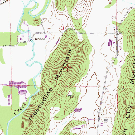 Topographic Map of Muscadine Mountain, AL