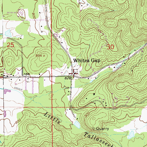 Topographic Map of Whites Gap, AL