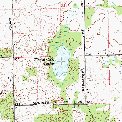 Topographic Map of Tamarack Lake, MI