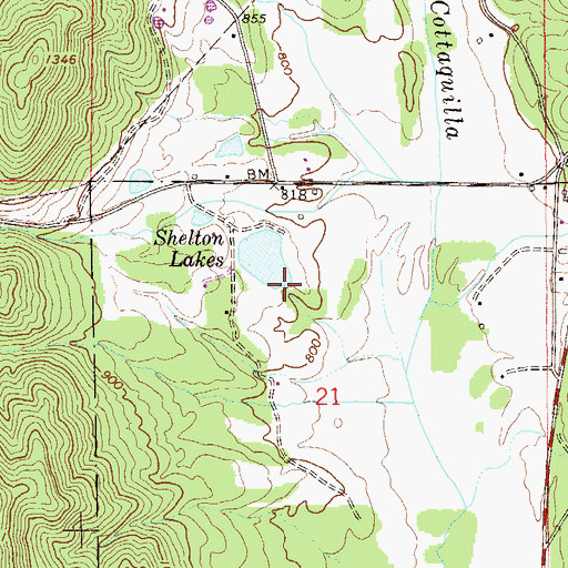 Topographic Map of Shelton Dam, AL