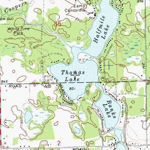 Topographic Map of Thomas Lake, MI