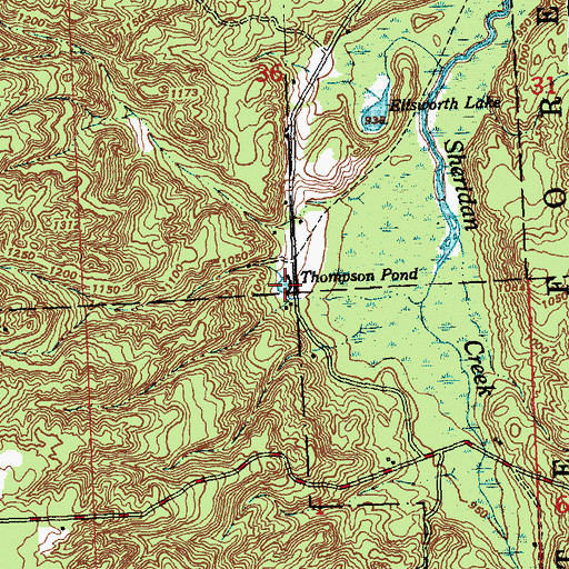 Topographic Map of Thompson Pond, MI