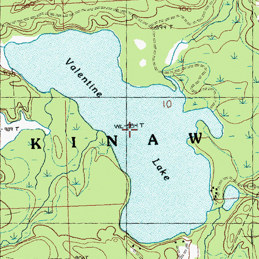 Topographic Map of Valentine Lake, MI