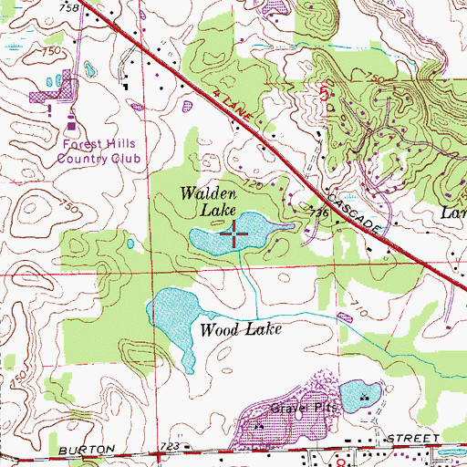 Topographic Map of Walden Lake, MI