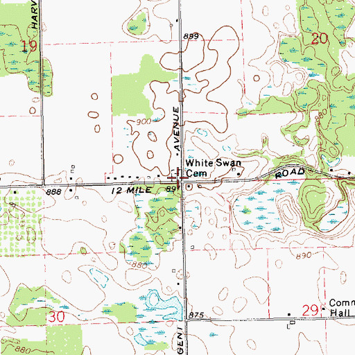 Topographic Map of White Swan Cemetery, MI