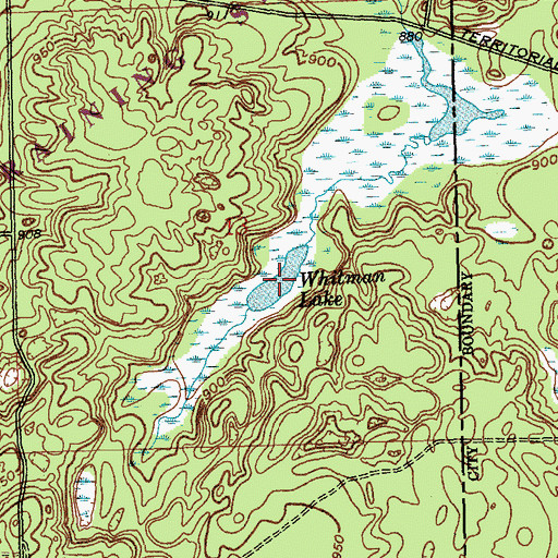 Topographic Map of Whitman Lake, MI