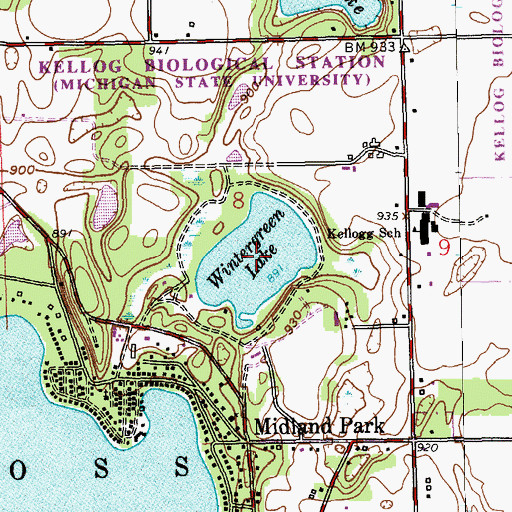 Topographic Map of Wintergreen Lake, MI