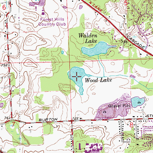 Topographic Map of Wood Lake, MI
