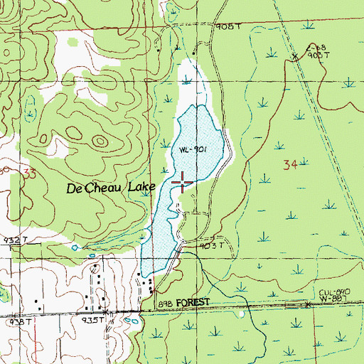 Topographic Map of De Cheau Lake, MI
