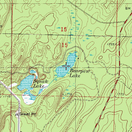 Topographic Map of Bearpaw Lake, MI