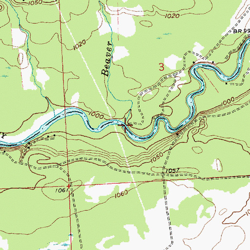 Topographic Map of Beaver Creek, MI