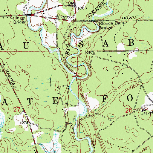 Topographic Map of Big Creek, MI