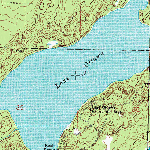 Topographic Map of Ottawa Lake, MI