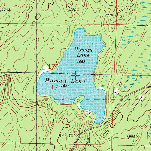 Topographic Map of Homan Lake, MI
