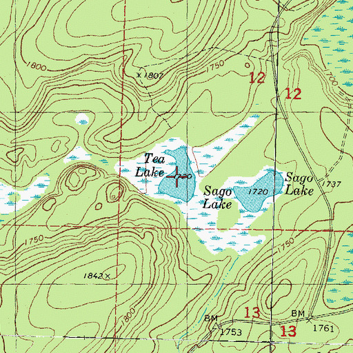 Topographic Map of Tea Lake, MI