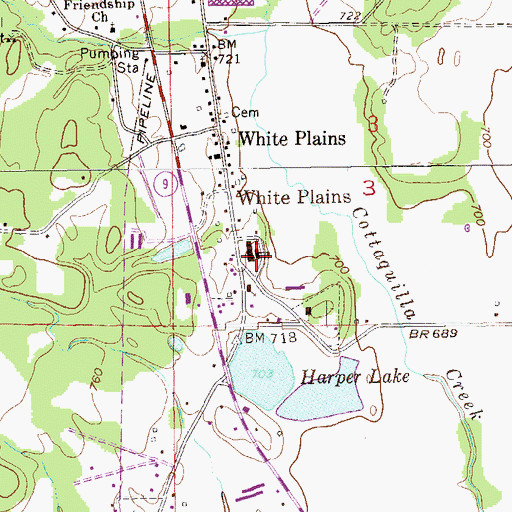 Topographic Map of White Plains High School, AL