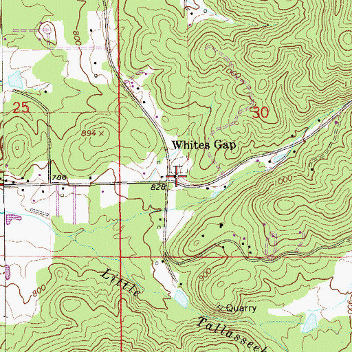 Topographic Map of Whites Gap Baptist Church, AL