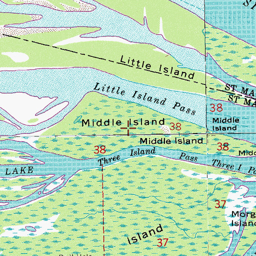 Topographic Map of Middle Island, LA