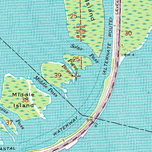 Topographic Map of Pique Bayou, LA