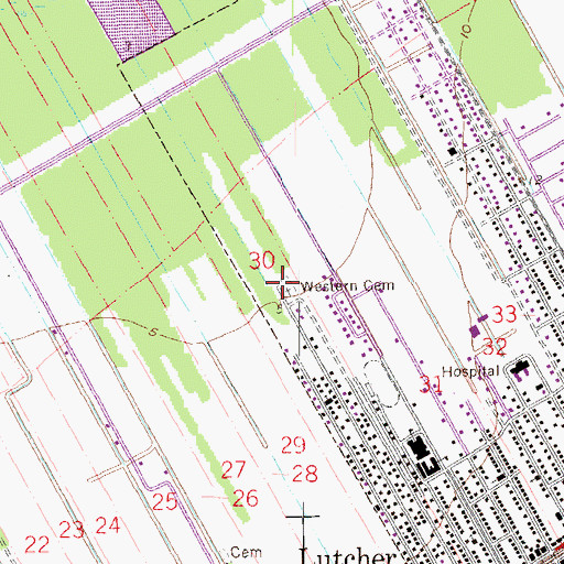 Topographic Map of Western Cemetery, LA