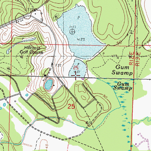 Topographic Map of Gum Swamp Dam, LA