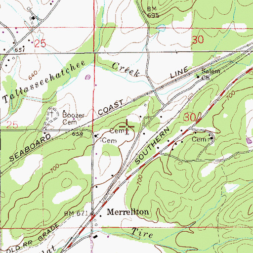 Topographic Map of Wellborn Cemetery, AL