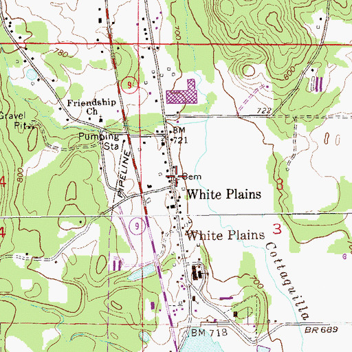 Topographic Map of Williamson-Little Cemetery, AL