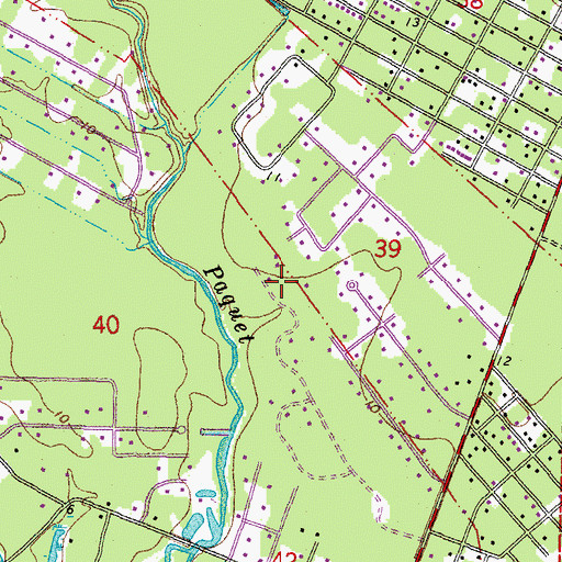 Topographic Map of The Woods, LA