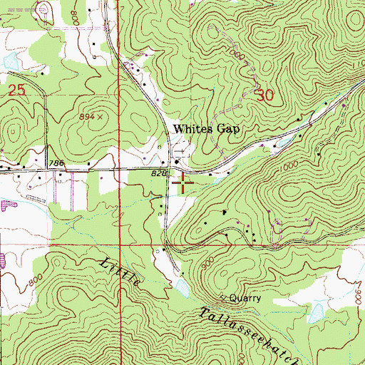 Topographic Map of Whites Gap Spring, AL