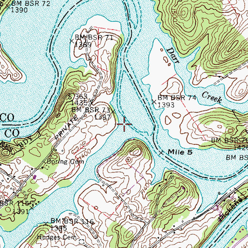 Topographic Map of Reedy Creek, TN