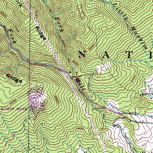 Topographic Map of Right Fork Mill Creek, TN
